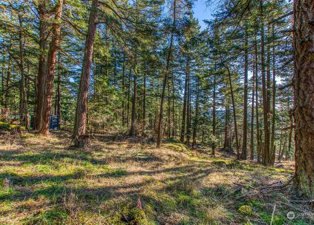 Property at 0 Veneda Trl, Orcas Island, WA 98245