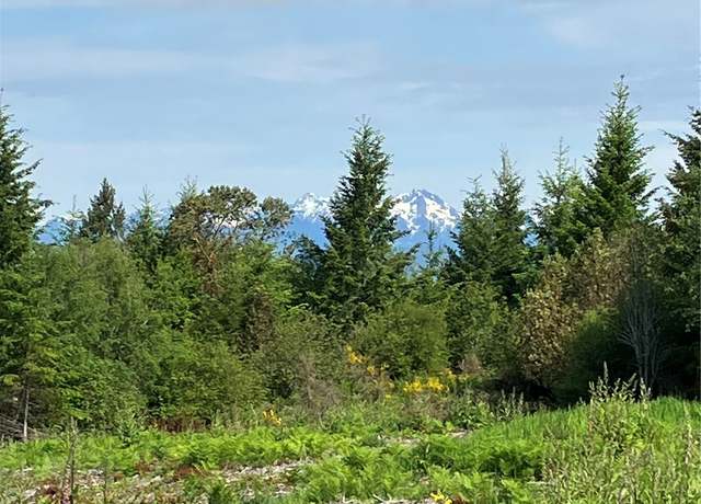 Property at 2 E Lone Fir Dr Rd E, Shelton, WA 98584