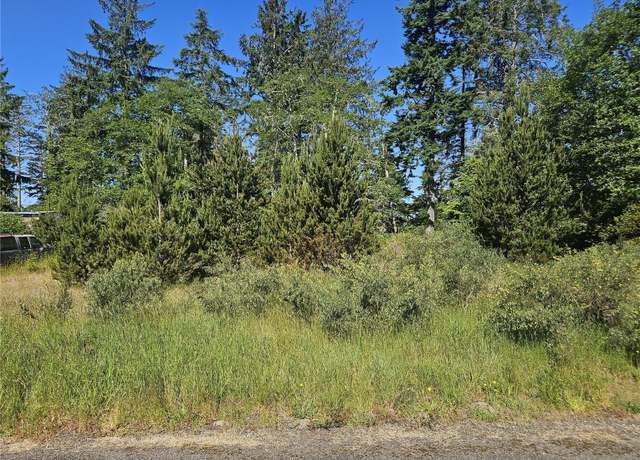 Property at 0 Z Pl, Ocean Park, WA 98640