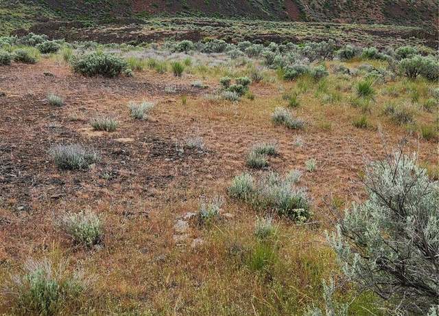 Property at 0 Lot 7 Singletree Dr, Ephrata, WA 98823