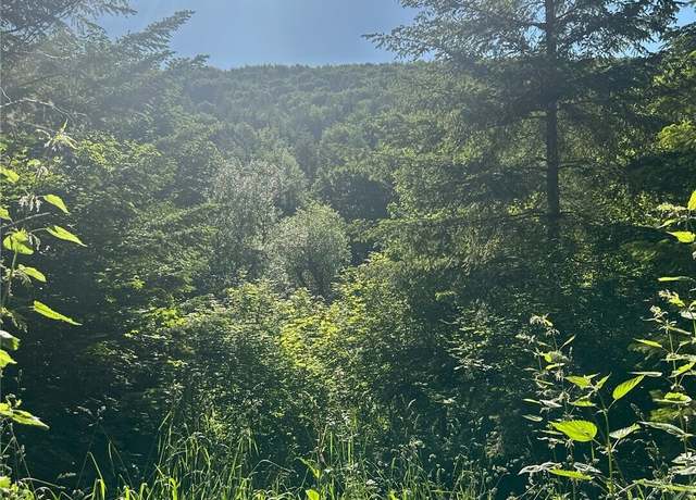 Property at 11111 Elkhorn Ln, Quilcene, WA 98376