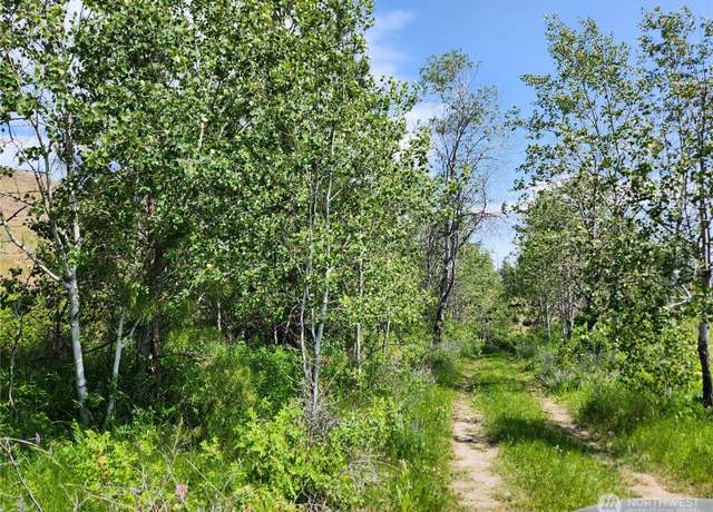 Property at 0 Roundabout Rd, Tonasket, WA 98859
