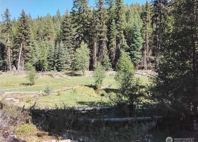 Property at 0 Little Place Rd, Tonasket, WA 98855