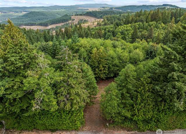 Property at 0 Mt Brynion Rd, Kelso, WA 98626
