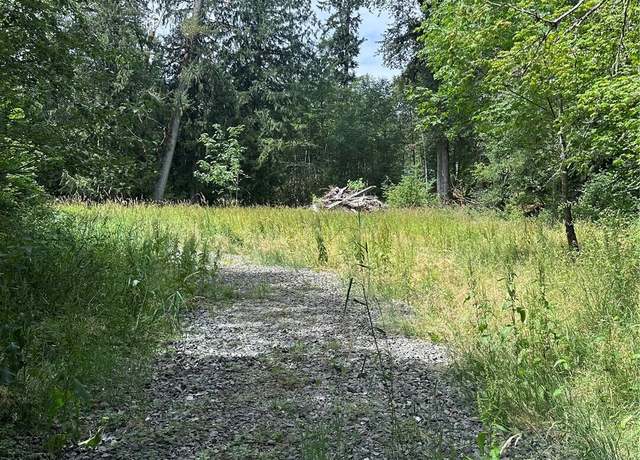 Property at 56002 E 317th Ave E, Ashford, WA 98304