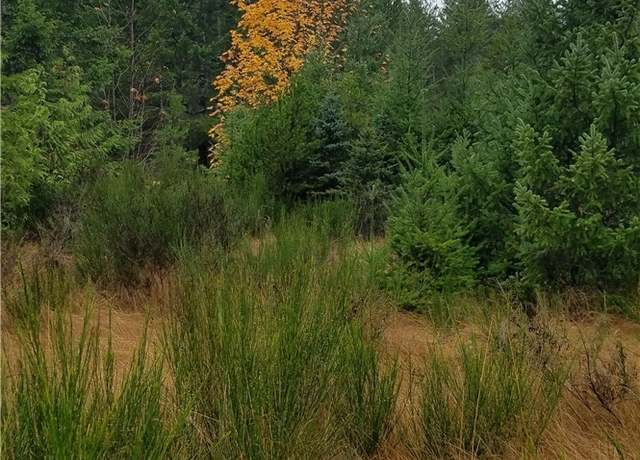 Property at 1140 1180 W California Rd, Shelton, WA 98584