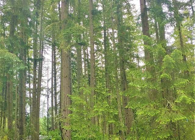 Property at 10014 Edgewood Dr, Anderson Island, WA 98303