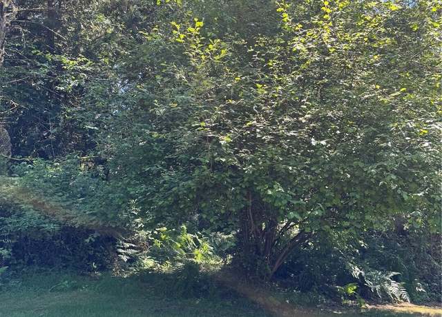 Property at 12408 93rd St, Anderson Island, WA 98303