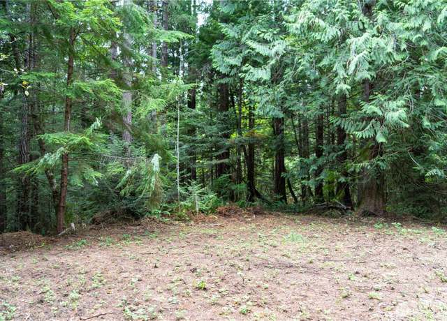 Property at 51 N Trail Head Loop, Lilliwaup, WA 98555