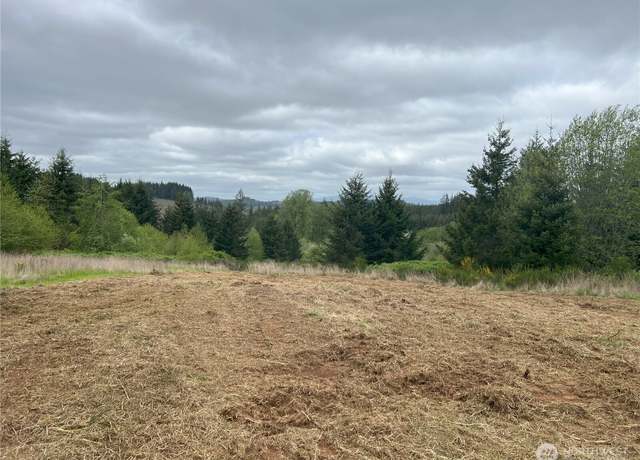 Property at 113 Red Rock Ln, Chehalis, WA 98532