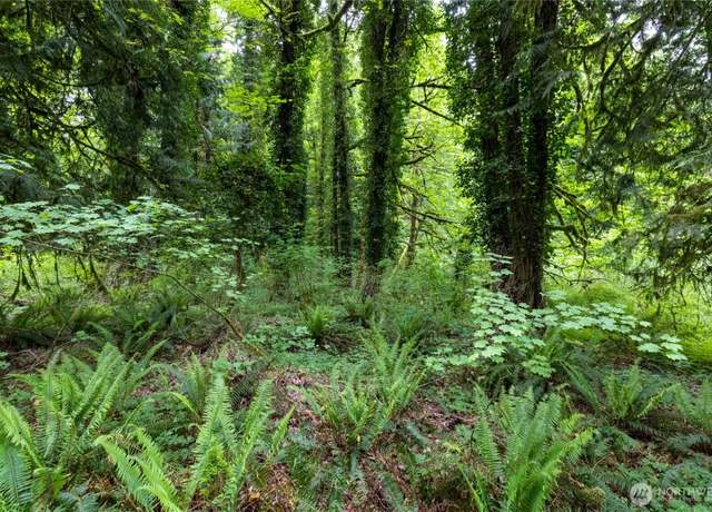 Property at 24118 177th St E, Orting, WA 98360