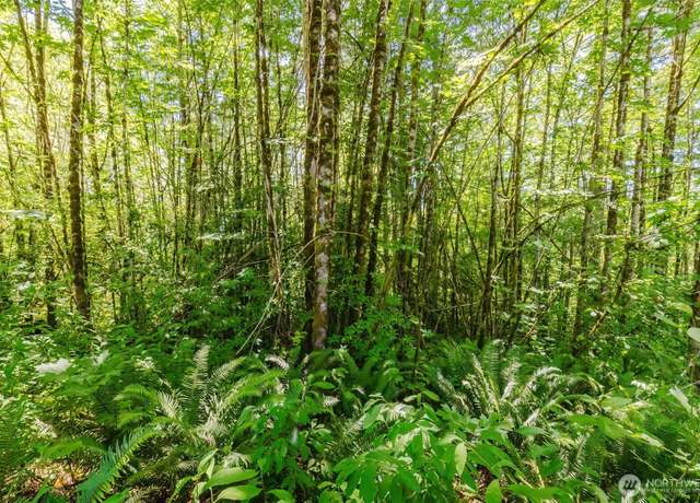 Property at 11 Lot Cassie Pl NW, Poulsbo, WA 98370