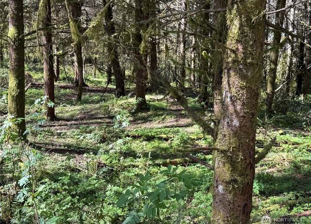 Property at 27403 114th Ave E, Graham, WA 98338