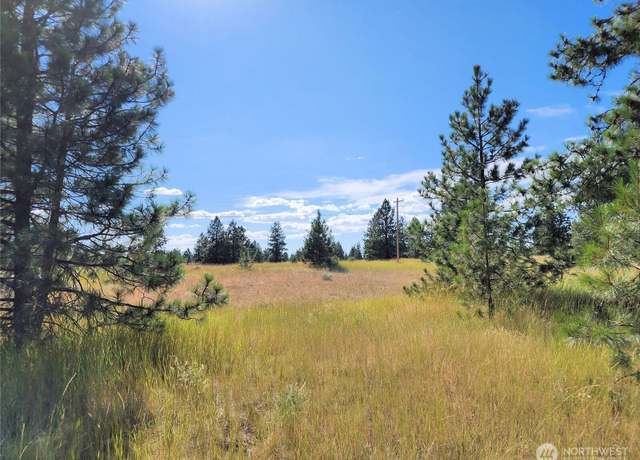 Property at 0 Bachelor Flats Dr N, Creston, WA 99117