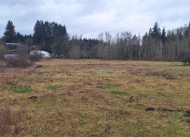 Property at 0 State Route 122, Silver Creek, WA 98585