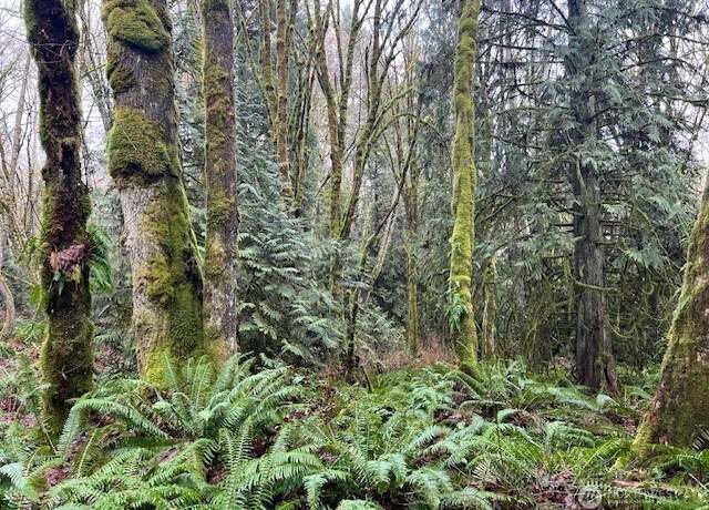 Property at 0 20+ac Sackman Ln NE, Poulsbo, WA 98370