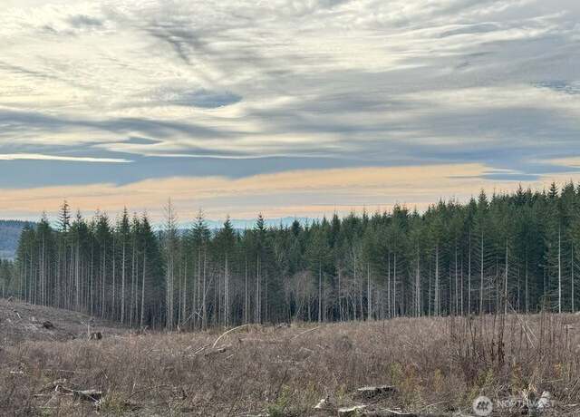 Property at 0 August Rd, Onalaska, WA 98570