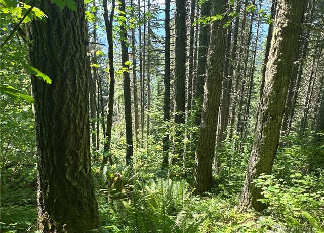 Property at 0 Hwy 12, Randle, WA 98336