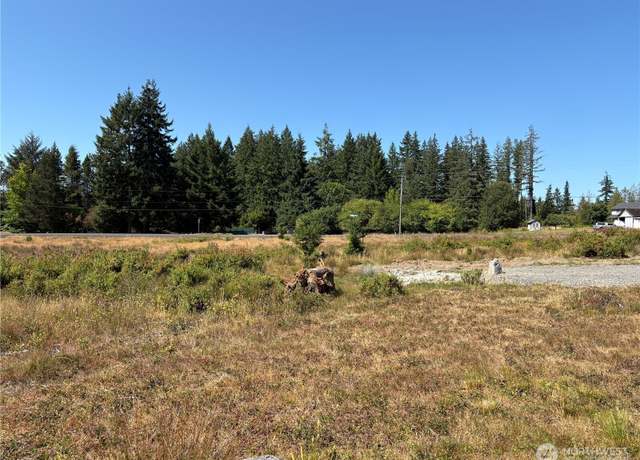 Property at 0 LOT 1 Studebaker Rd, Castle Rock, WA 98611