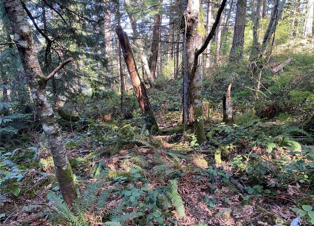 Property at 2861 Aiston Creek Rd, Lummi Island, WA 98262