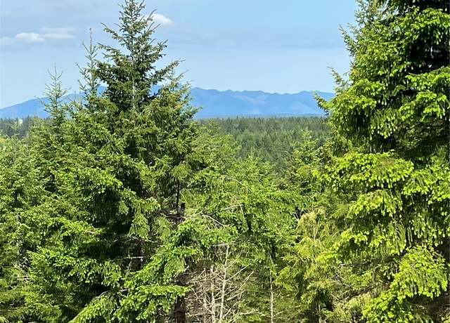 Property at 3 E Lone Fir Drive Rd E, Shelton, WA 98584
