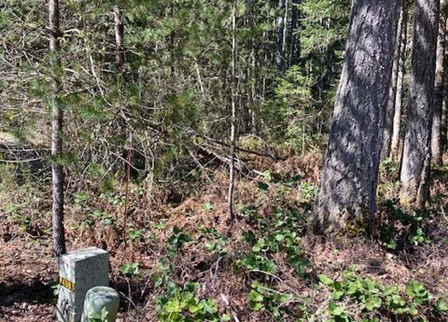 Property at 131 N Rainbow Way, Hoodsport, WA 98548