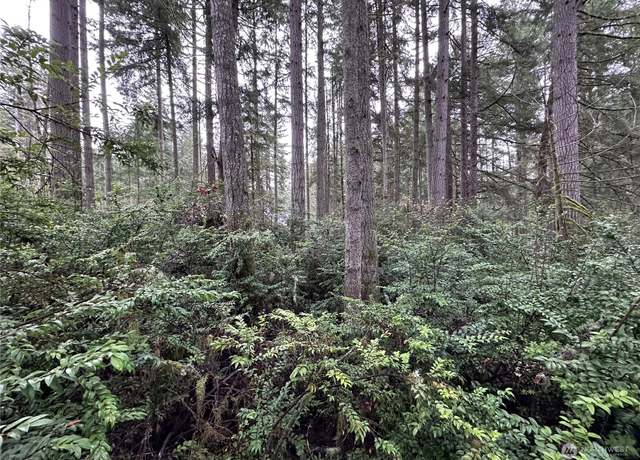 Property at 11023 Cascade Pl, Anderson Island, WA 98303