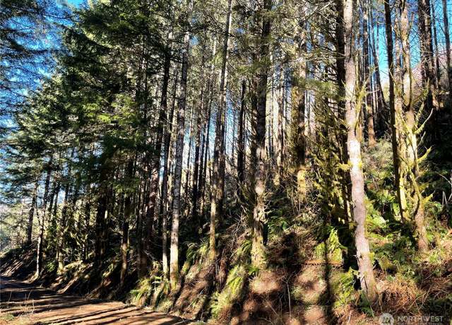 Property at 400 XX Short Rd, Morton, WA 98356