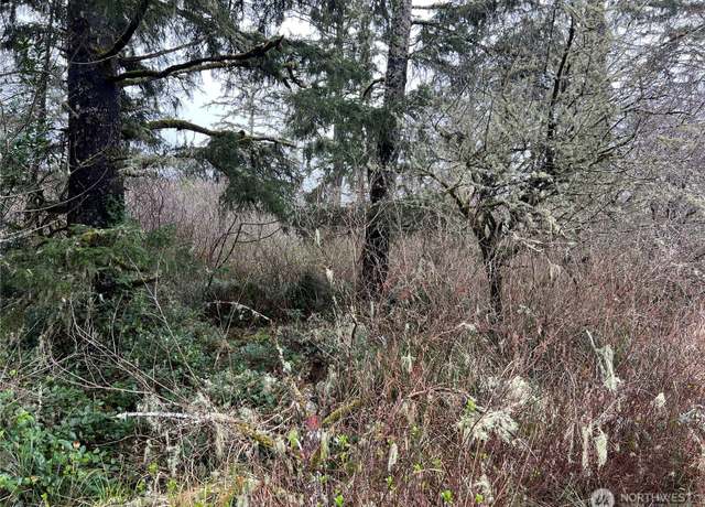 Property at 0 X 102nd Pl, Long Beach, WA 98631