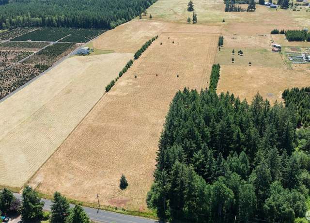Property at 0 Nelson Rd, Winlock, WA 98596