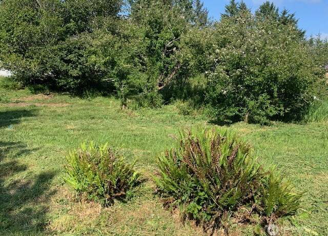 Property at 0 Ash Pl, Ocean Park, WA 98640