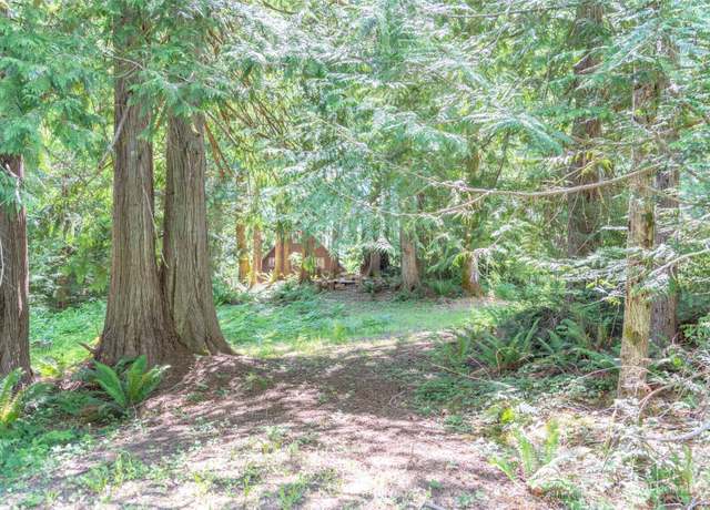 Property at 0 Maple Ave, Brinnon, WA 98320