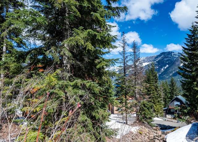 Property at 1 XX Arlberg Pl, Snoqualmie Pass, WA 98068