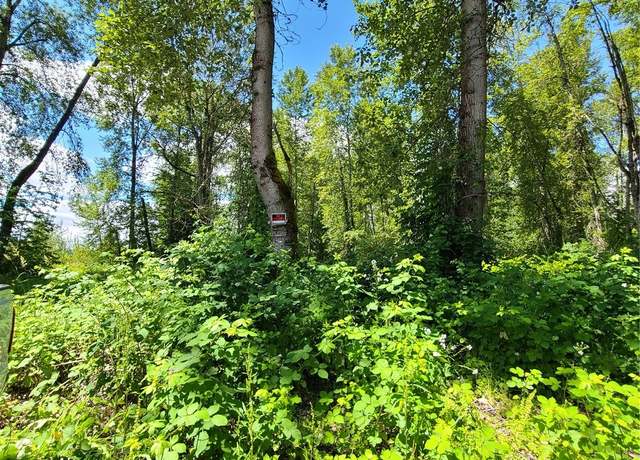 Property at 201 River Ave NE, Orting, WA 98360