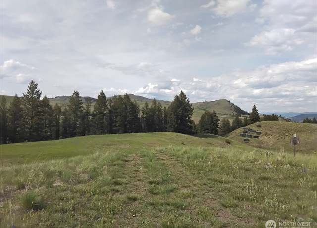 Property at 0 N Mountain View Dr, Oroville, WA 98855