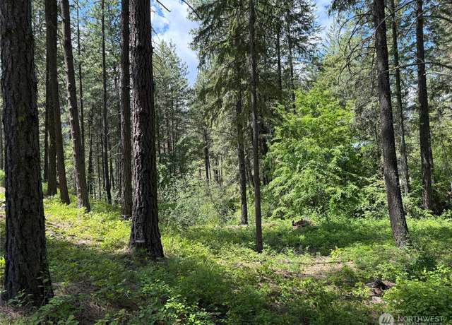 Property at 11 Highland Meadow Rd, Winthrop, WA 98862