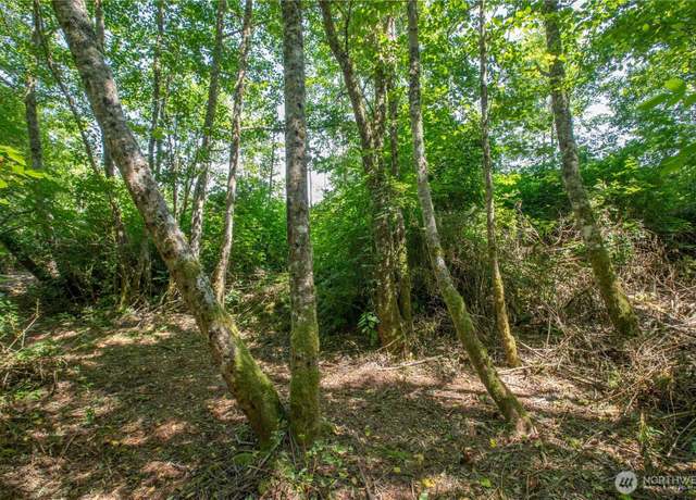 Property at 0 XXX Lake Mastie Rd, Coupeville, WA 98239