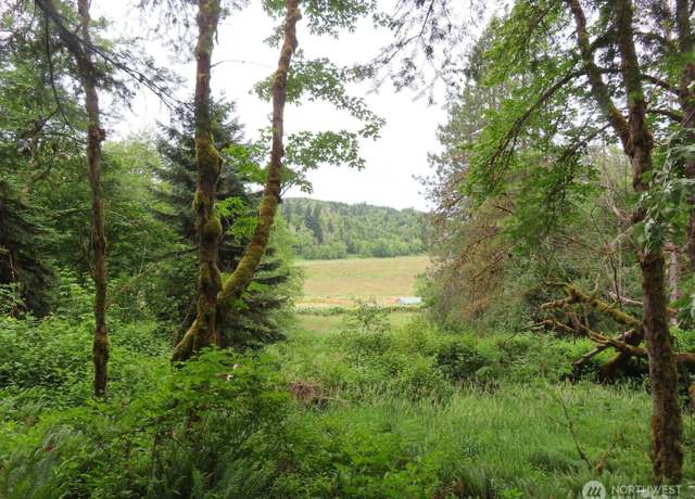 Property at 21720 Zenkner Valley Rd SW, Centralia, WA 98531