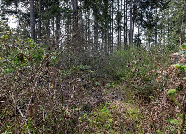 Property at 0 (Lot 3) 95th Avenue Ct E, Graham, WA 98338