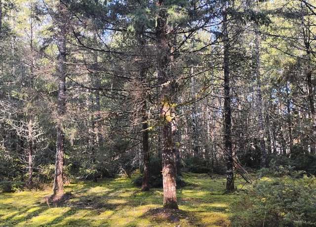 Property at 1731 E Saint Andrews Dr N, Shelton, WA 98584