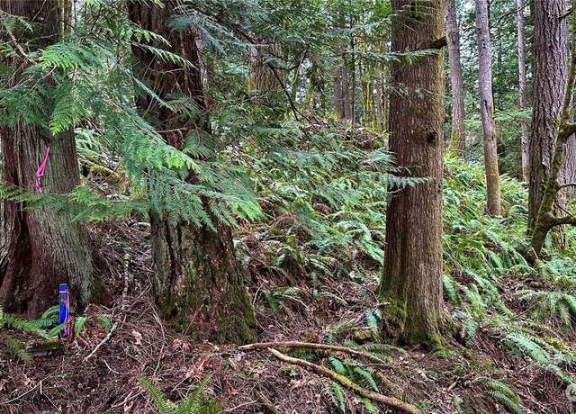 Property at 20 Hillside Pl, Bellingham, WA 98229