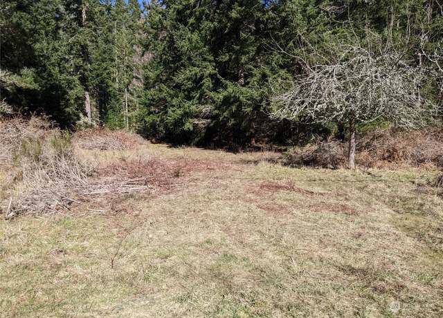 Property at 0 Andreason Rd, Langley, WA 98260