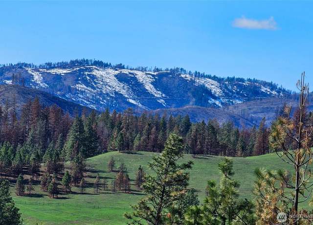 Property at 0 HWY 21, Keller, WA 99140