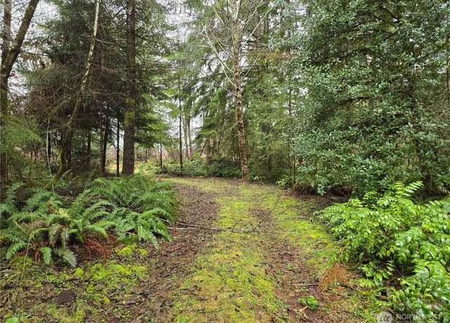 Property at 261 W Elk Hill Rd, Elma, WA 98541
