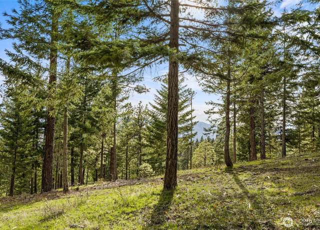 Property at 0 XXX Game Trail Rd, Cle Elum, WA 98922