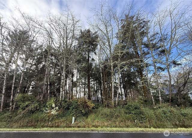 Property at 399 NE Duck Lake Dr, Ocean Shores, WA 98569