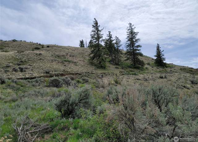 Property at 98 Tyee View Loop Rd, Orondo, WA 98843