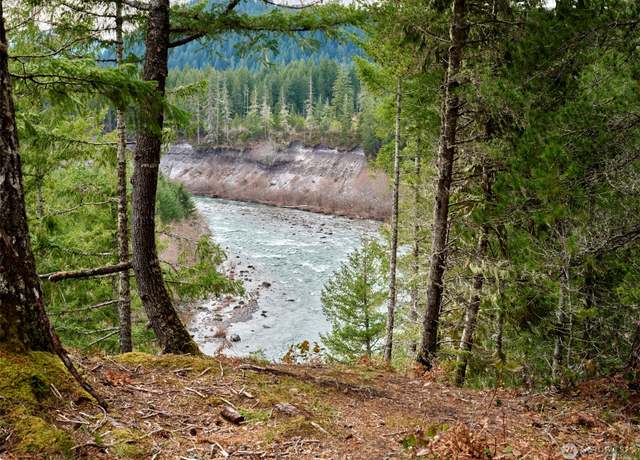 Property at 2 Lahar Ln, Cougar, WA 98616