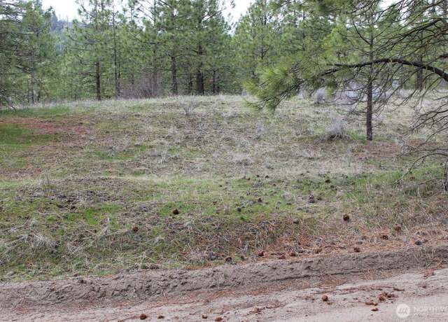 Property at 36435 Western Pines Dr N, Davenport, WA 99122