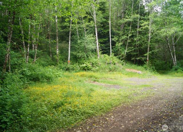 Property at 0 Off of Panhandle Rd, Hoquiam, WA 98550